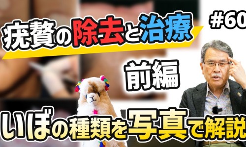 缺盆草的功效与作用-缺盆的功效与作用网—知名的缺盆治什么病最好网站,分享缺盆的功效与作用图片知识